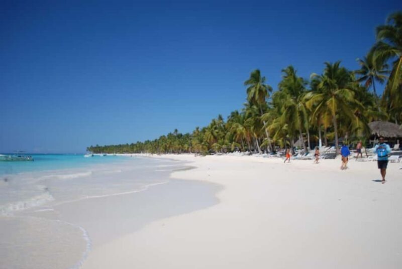 Punta Cana: Saona Island Catamaran Deluxe Cruise with Lunch - Key Points