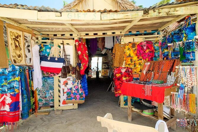 Punta Cana: Saona Island Catamaran Open Bar / Food Hotel Pickup - The Sum Up: Who Should Consider This Tour?