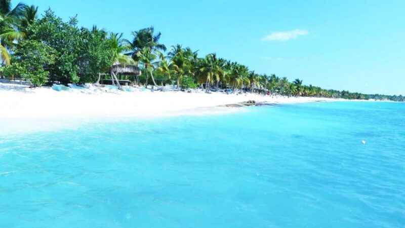Punta Cana: Saona Island Catamaran Tour & Buffet Lunch - Frequently Asked Questions