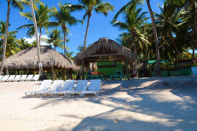 Punta Cana : Saona Island Day Tour - Final Thoughts: Is It Worth It?
