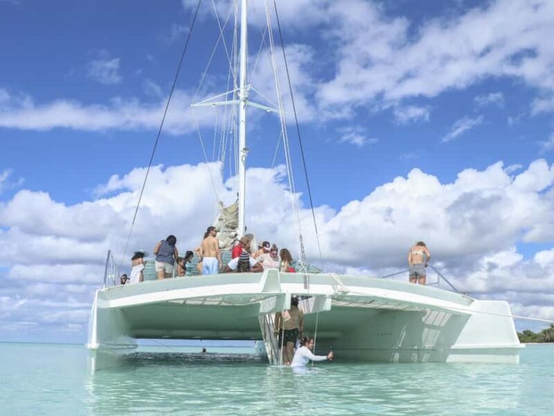 Punta Cana: Saona Island Day Trip with Blue Lagoon & Lunch - Punta Cana: Saona Island Day Trip with Blue Lagoon & Lunch