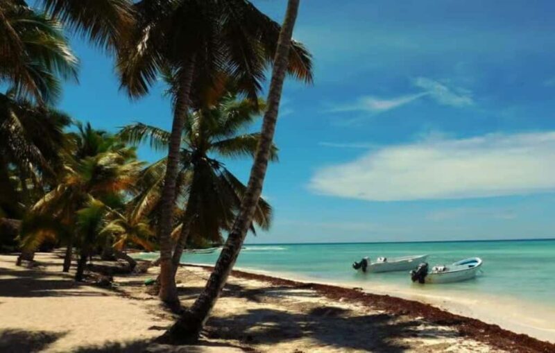 Punta Cana: Saona Island Day Trip with Lobster Lunch - Authentic Experiences and What Travelers Say