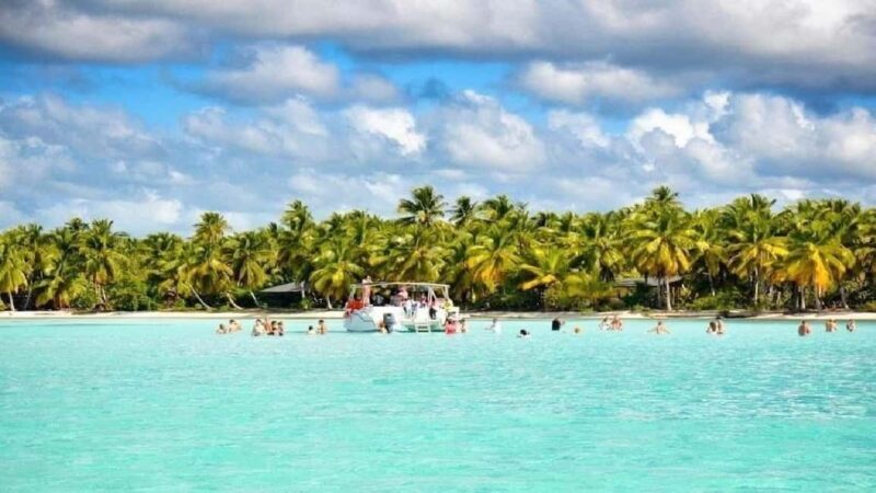 Punta Cana: Saona Island Day Trip with Lunch & Drinks - A detailed look at the Saona Island day trip