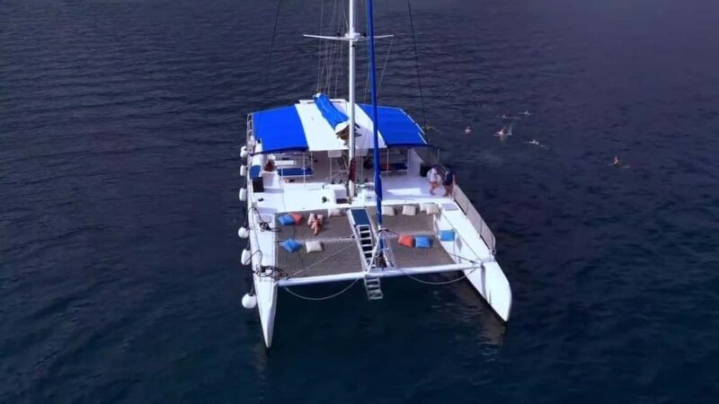 Punta Cana: Saona Island Day Trip with Lunch & Drinks - FAQ