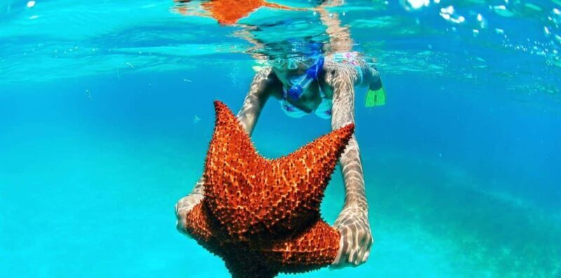 Punta Cana: Saona Island Day Trip with VIP Option - Key Points