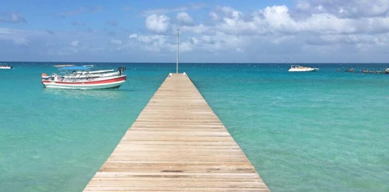 Punta Cana: Saona Island Day Trip with VIP Option - Starting the Day: Early Morning Pickup and Transfers