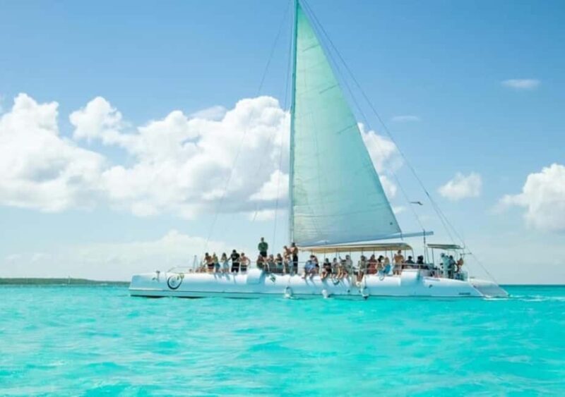 Punta Cana: Saona Island for hotel pick-up for groups - A detailed look at the Saona Island tour experience