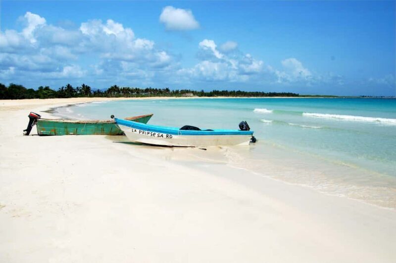 Punta Cana: Saona Island Full-Day Open Bar, Lunch & Transfer - Frequently Asked Questions