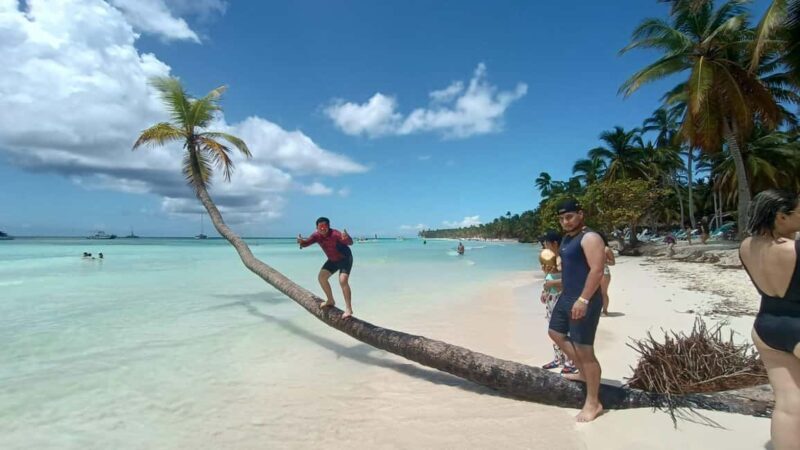 Punta Cana :Saona Island Paradise full-Day Escape - Considerations and Who Its For