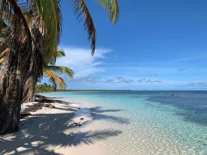 Punta Cana: Saona Island Premium 3 beaches - Key Points