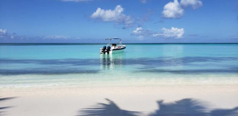 Punta Cana: Saona Island Speedboat and Catamaran Tour - Key Points