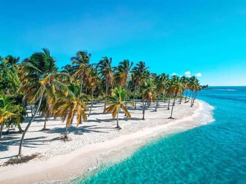 Punta Cana: Saona Island Speedboat and Catamaran Tour - Deep Dive into the Itinerary and Highlights