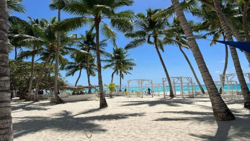 Punta Cana: Saona Island Speedboat Tour with Lunch - Key Points