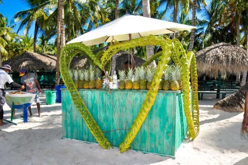 Punta Cana: Saona Island Tour with Transportation - The Experience & Authenticity