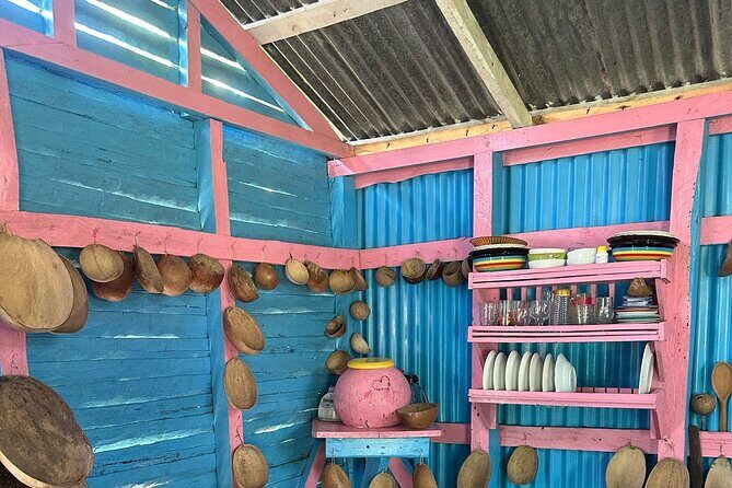 Punta cana scenic tour with lunch horses and cenote - Key Points