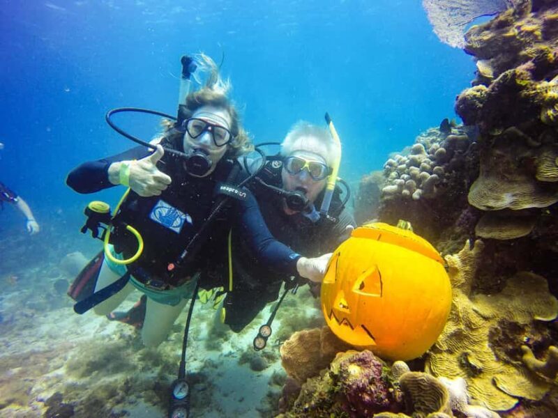 Punta Cana: Scuba Diving Adventure to Catalina Island - Punta Cana: Scuba Diving Adventure to Catalina Island