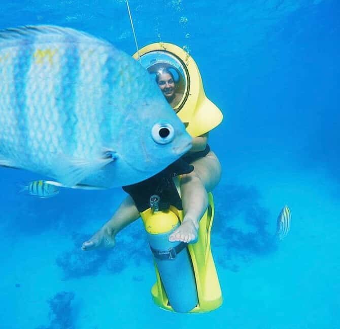 Punta Cana Scuba Doo: Discover Marine Life In a Fun Way - Key Points