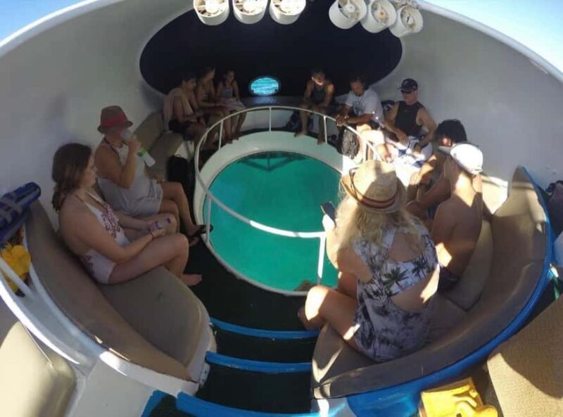 Punta Cana Scuba Doo: Discover Marine Life In a Fun Way - A Detailed Look at the Experience