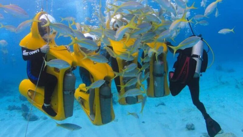 Punta Cana: Scubadoo Explore The Ocean - The Sum Up