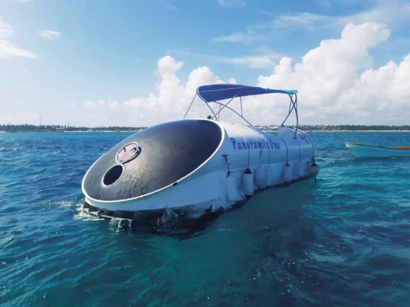 Punta Cana: Scubadoo Ocean Exploration Diving Adventure - Key Points