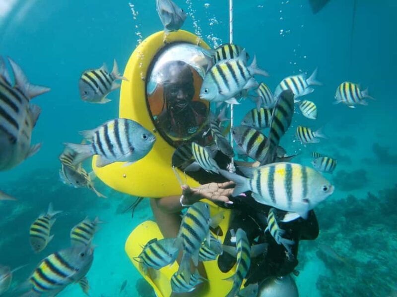 Punta Cana: Scubadoo Ocean Exploration Diving Adventure - Exploring the Experience in Detail