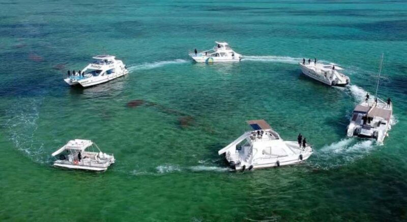 Punta Cana: Snorkeling Cruise with Open Bar & Snacks - Punta Cana: Snorkeling Cruise with Open Bar & Snacks