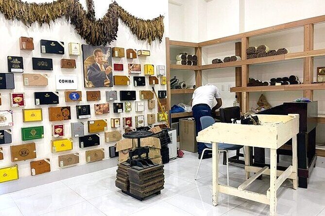 Punta Cana Souvenir Shopping Tour with Pickup - Key Points