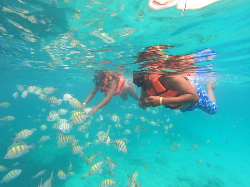 Punta Cana: Speed Boat Ride & Snorkel Adventure - Final Thoughts: Who Will Love This Tour?