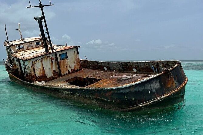 Punta Cana Speed Boat to Saona Island with Lunch & Natural Pools - Who Is This Tour Best For?