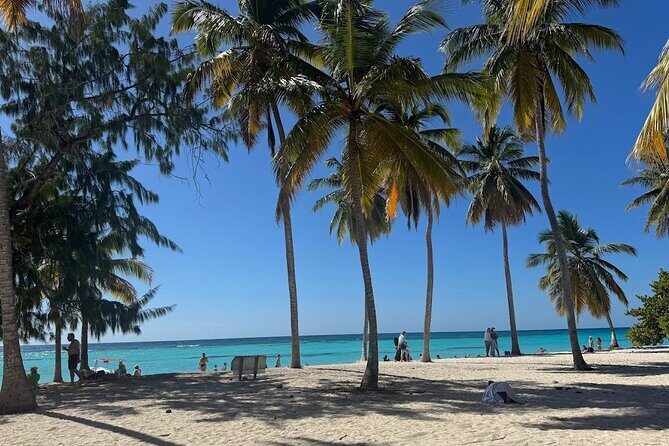 Punta Cana Speed Boat to Saona Island with Lunch & Natural Pools - The Sum Up