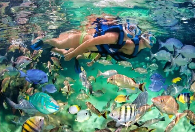 Punta Cana: Speedboat Ride, Snorkeling, & Dolphin Watching - An In-Depth Look at the Tour Experience