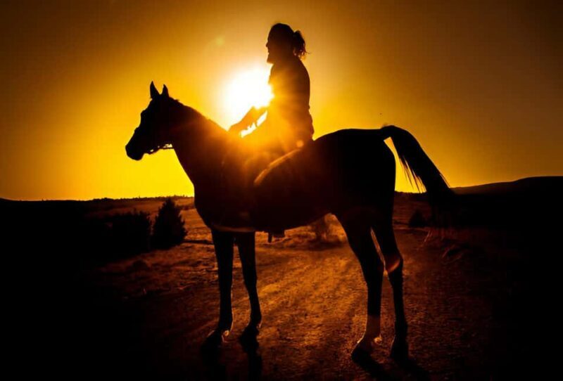 Punta Cana: Sunset Horseback Ride in Macao Beach and Forest - Authentic Experience and Genuine Value