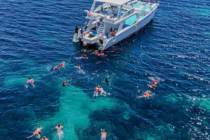 Punta Cana to Isla Catalina Day Tour on Catamaran - Authentic Traveler Perspectives