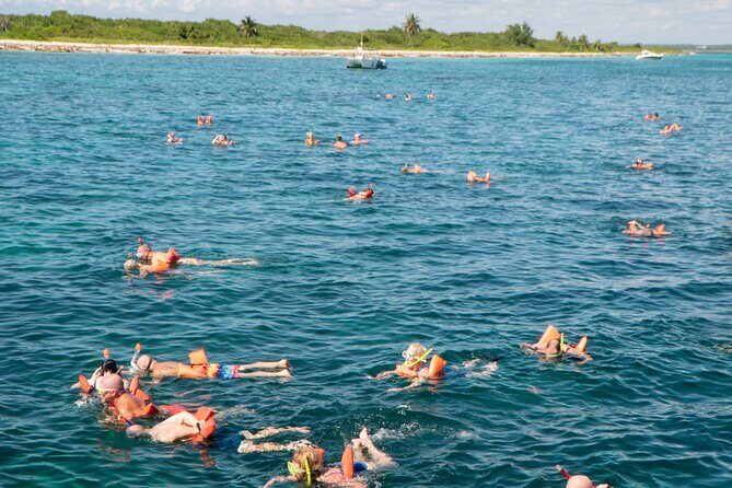 Punta Cana to Isla Catalina Day Tour on Catamaran - Final Thoughts: Is It Worth It?