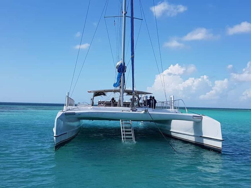 Punta Cana Tourist Package with Buggy and Saona, Transportation Included - An In-Depth Look at the Tour Experience