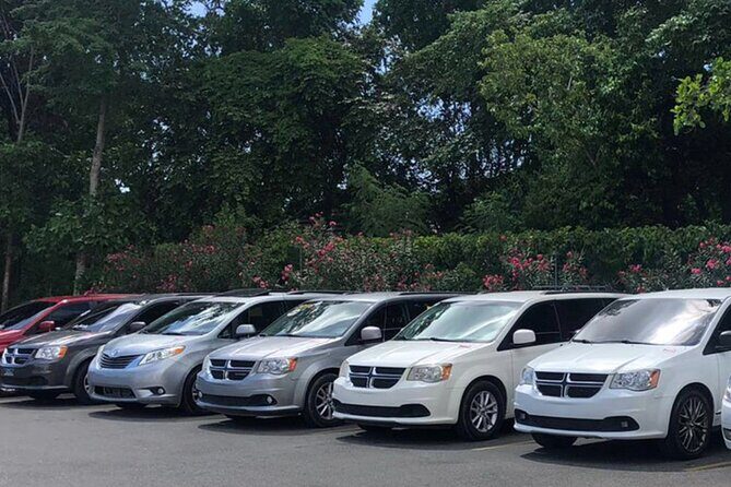 Punta Cana: Transportation from Punta Cana airport or hotel - Why Choose This Transfer Service?