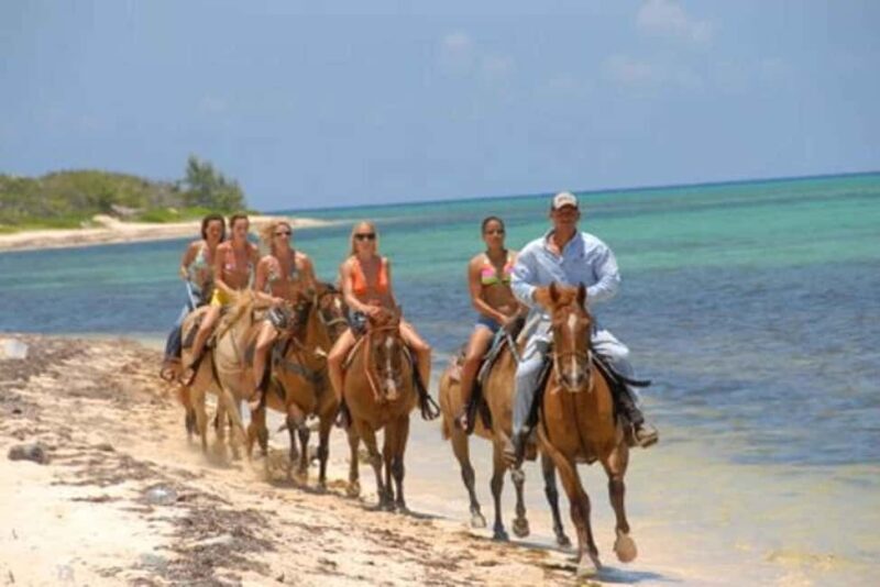 Punta Cana: Uvero Alto Beach Horseback Riding Tour - Who Should Consider This Tour?