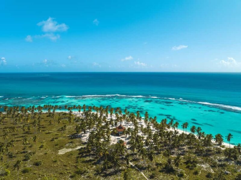 Punta Cana: VIP Private Speedboat Escape to Saona Island - Key Points