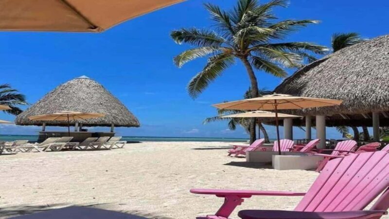 Punta Cana: Water Bike Tour with Snorkeling and Lunch - Exploring the Water Bike Experience