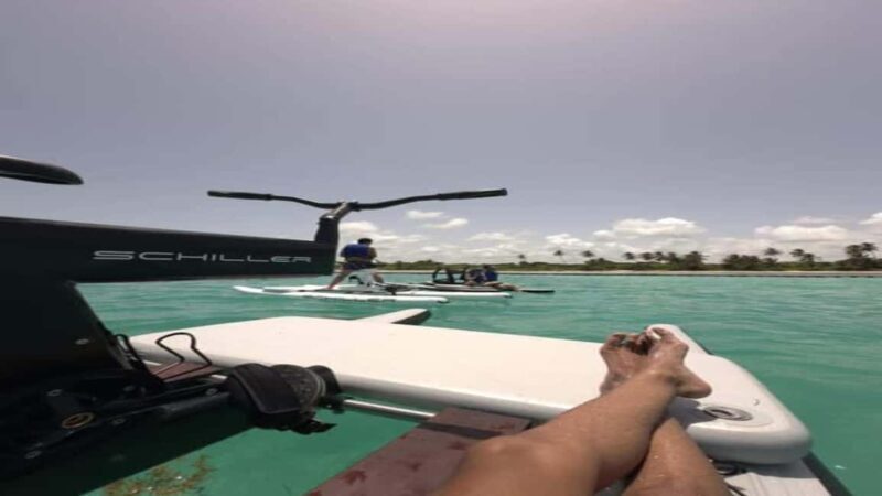 Punta Cana: Water Bike Tour with Snorkeling and Lunch - Practical Details and Tips