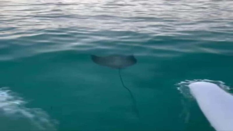 Punta Cana: Water Bike Tour with Snorkeling and Lunch - FAQ