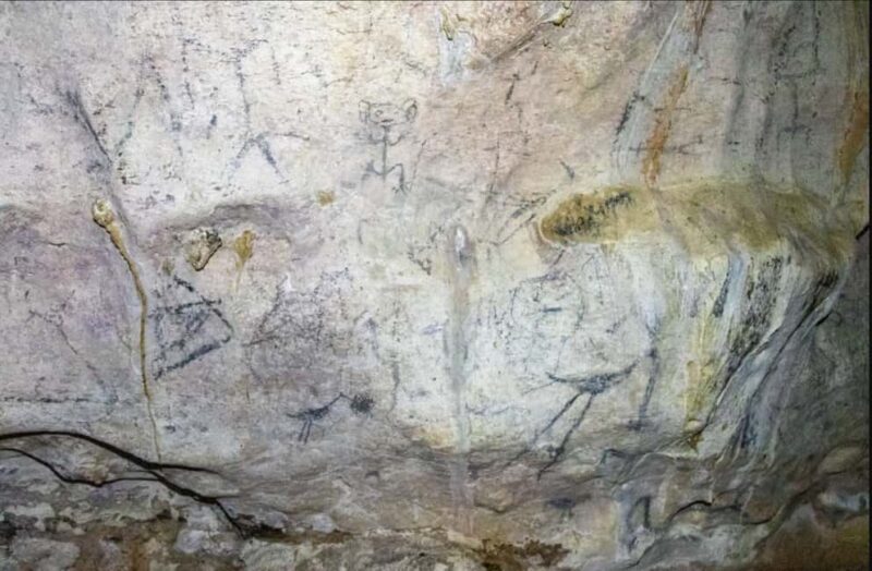 Punta Cana: Whale Watching & Los Haitises Park Sailing Tour - A Detailed Look at the Tour Experience