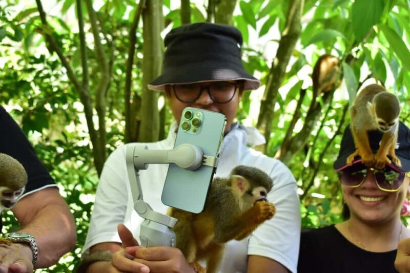 Punta Cana: Zip Line, Monkeyland, & Coconut House Tour - Key Points