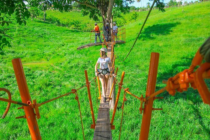 Punta Cana Zipline Adventure with Buggies and Horseback Riding - The Sum Up