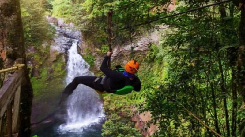 Punta Cana: Zipline Canopy Adventure with Hotel Pickup - Key Points