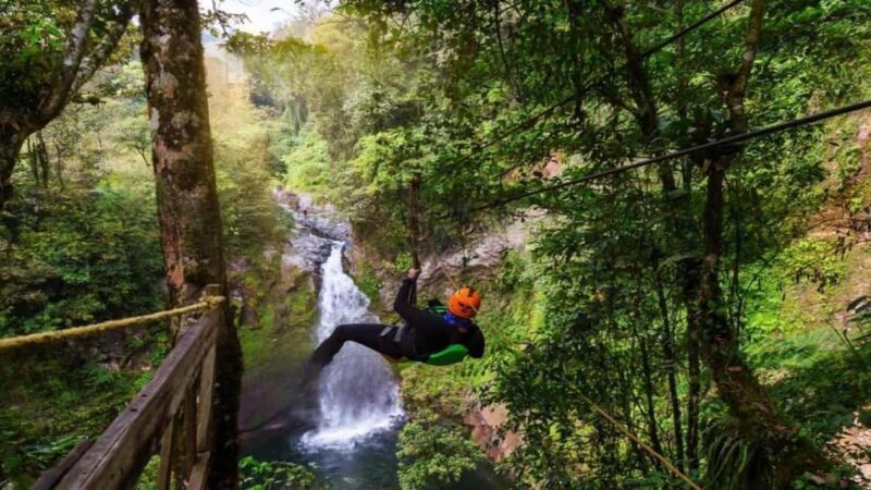 Punta Cana: Zipline Canopy Adventure with Hotel Pickup - Experience Overview: What You Can Expect