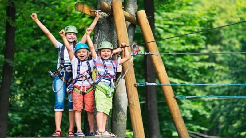 Punta Cana: Zipline Canopy Adventure with Hotel Pickup - Who Will Love This Tour?