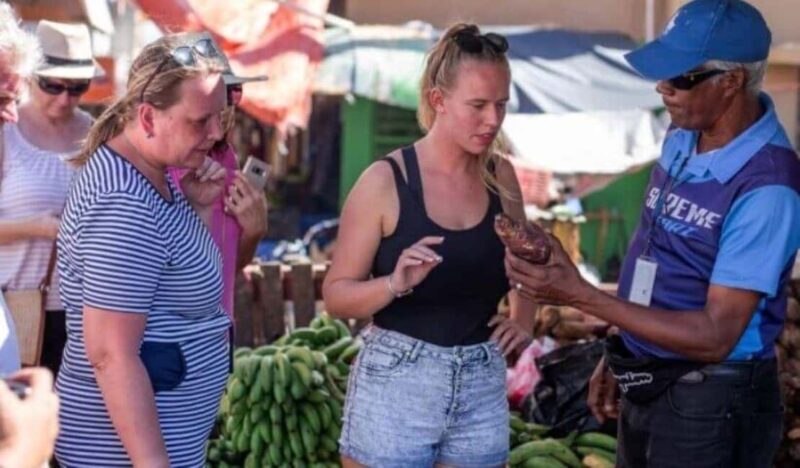 Punta Cana:Samaná Bay,Bacardí Island and El Limón Waterfall - An Authentic Journey into Nature and Culture