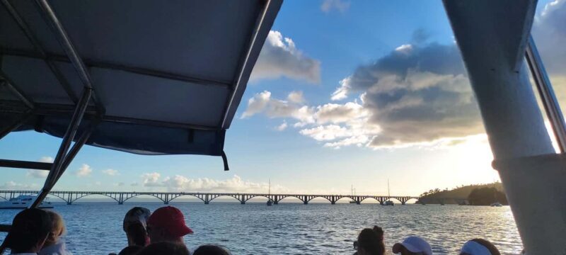 Punta Cana:Samaná Bay,Bacardí Island and El Limón Waterfall - What the Reviews Say