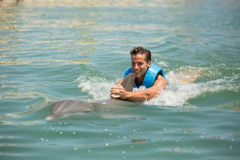Punta Cancun: Swim with dolphins Interax - Final Thoughts